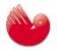 saunier duval logo